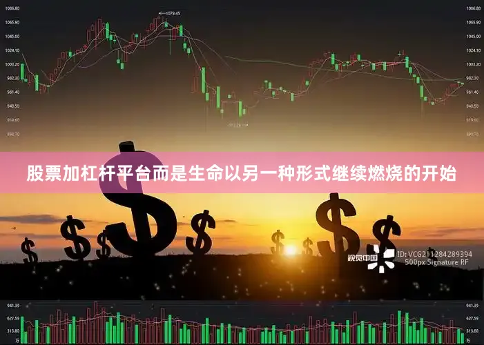 股票加杠杆平台而是生命以另一种形式继续燃烧的开始